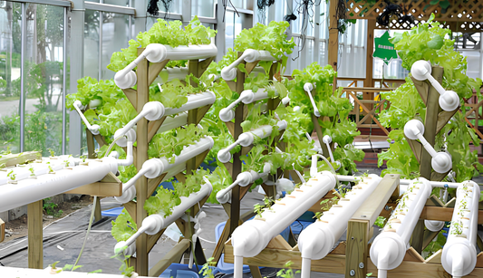 Unveiling the Excellence of High-Quality Hydroponics