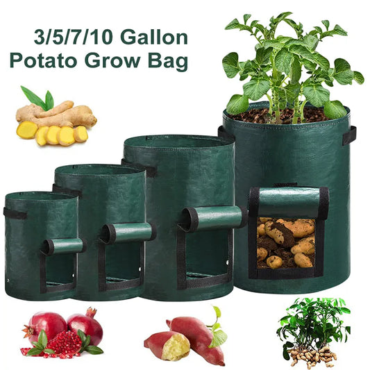 3/5/7/10 Gallon Plant Growing Bags